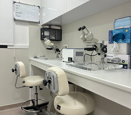 microscopes for web 2