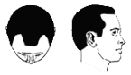 Class 2